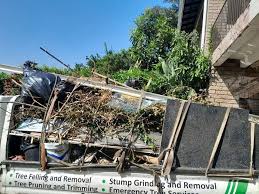 Best Hoarding Cleanup in Huntsville, MO